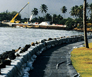 2010年メキシコ湾原油流出事故のオイル除去